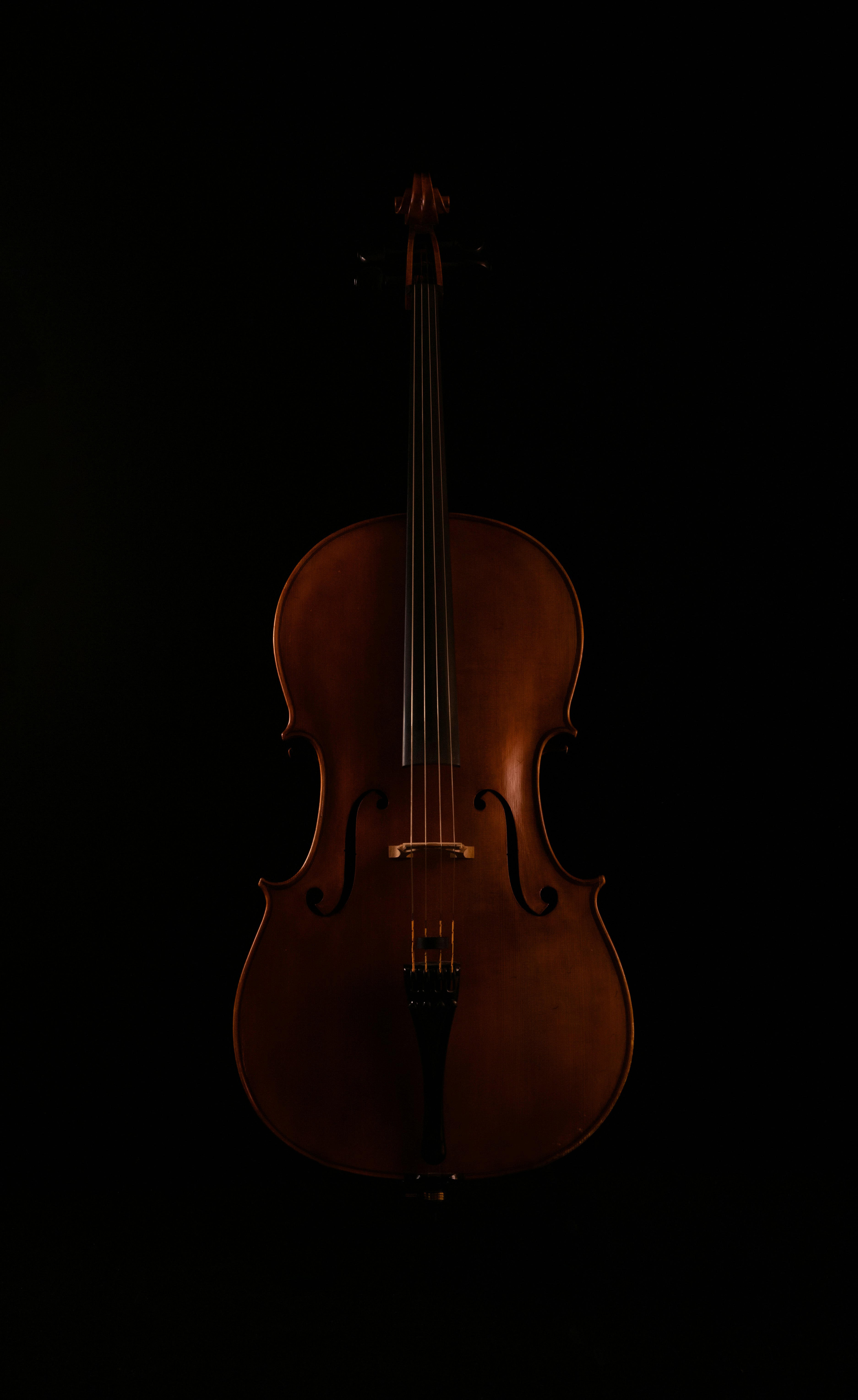 brown violin with black background